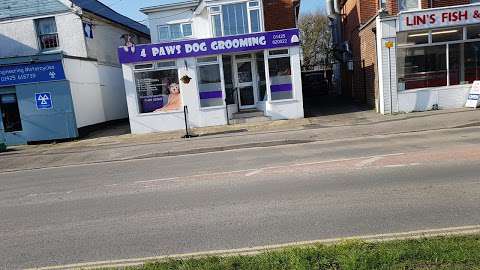 4 Paws Dog Grooming photo