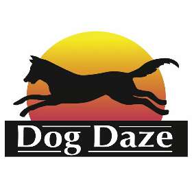 Dog Daze - Dog Walking, Boarding and Day Care photo